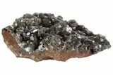 Calcite Crystal Cluster - Santa Eulalia, Mexico #90983-2